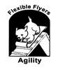 Flexible Flyers Agility Group